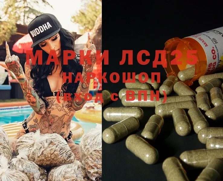 ЛСД экстази ecstasy  магазин  наркотиков  Пудож 